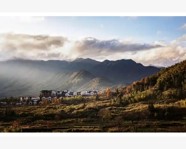 中医经验分享：消炎止咳化痰流鼻涕的有效方法
